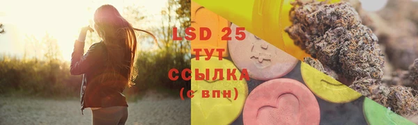эйфоретик Алзамай