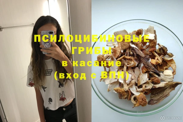 прущий лед Алексин