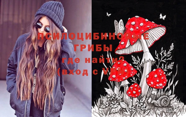 прущий лед Алексин