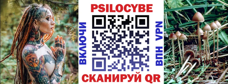 Псилоцибиновые грибы мухоморы  купить  сайты  Неман 