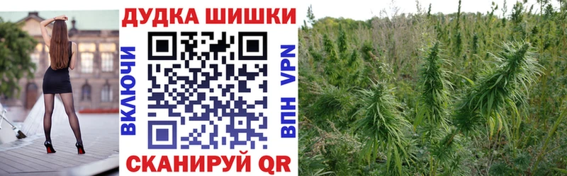 закладка Неман Бошки Шишки индика
